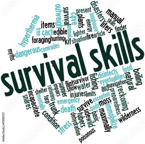 Word cloud for Survival skills photo