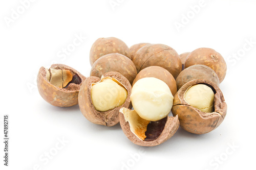 macadamia