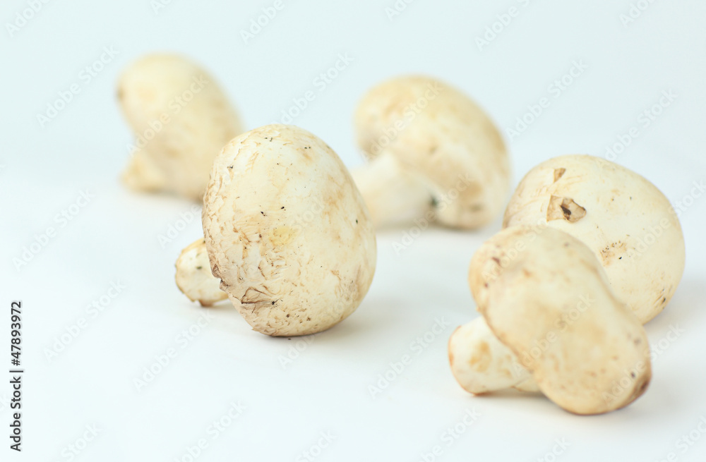 Champignon mushroom isolated on white Champignon mushroom isolated on white