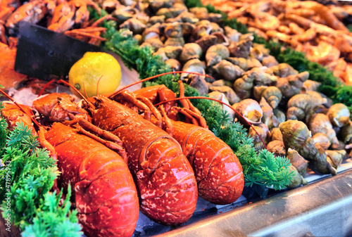 Fotografía Show-window of seafood
