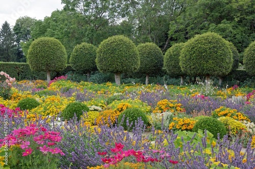 Foto jardin à la française, fleurs et buis taillés.