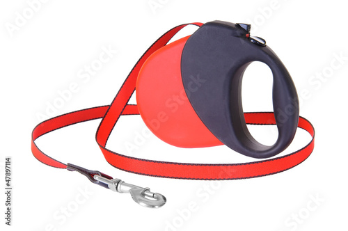 Canvas Print red tape for dogs