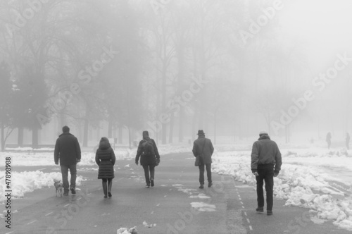 people walking in foggy landscape