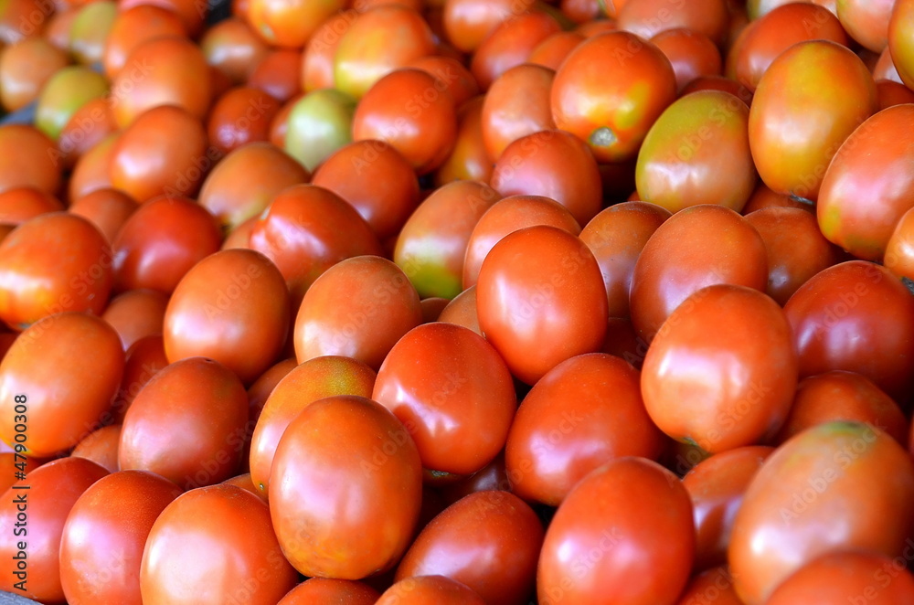 Fresh tomato fruit display on Traditional Market Fresh tomato fruit display on Traditional Market
