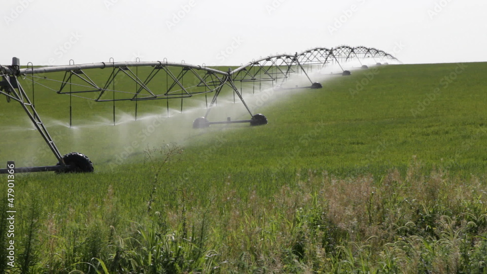Irrigation system