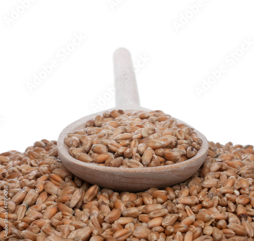 Wooden spoon with wheat lies amid the wheat