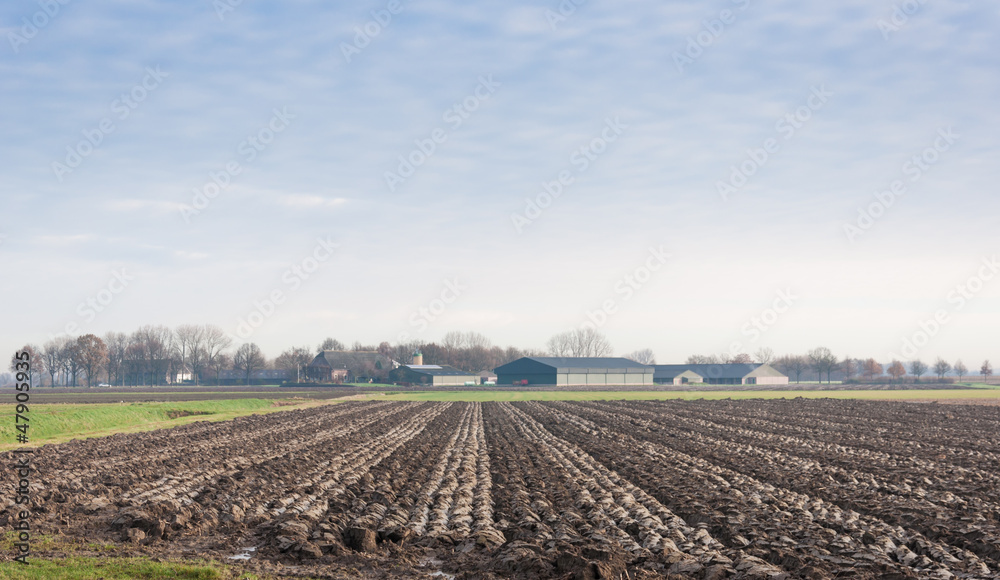 Plowed farmland in autumn