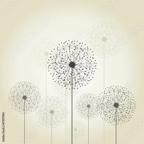 Fototapeta Kwitnij mniszka lekarskiego