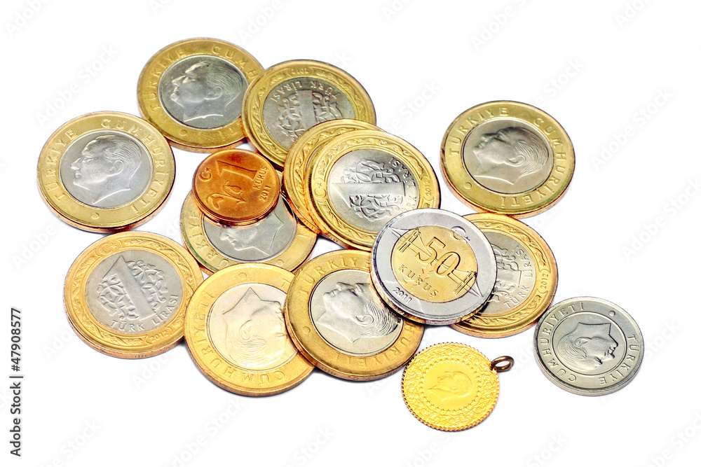 Heap of various coins and a gold. Isolated on white background