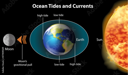 Tidal movements on Earth
