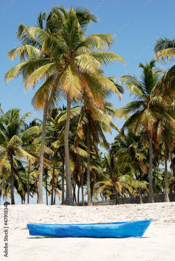 Pangane Beach, Mozambique