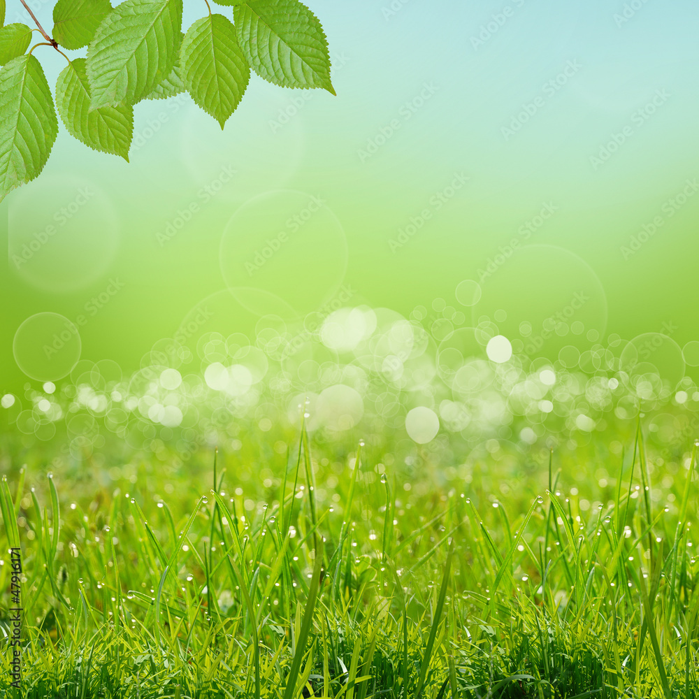 Obraz premium green natute background