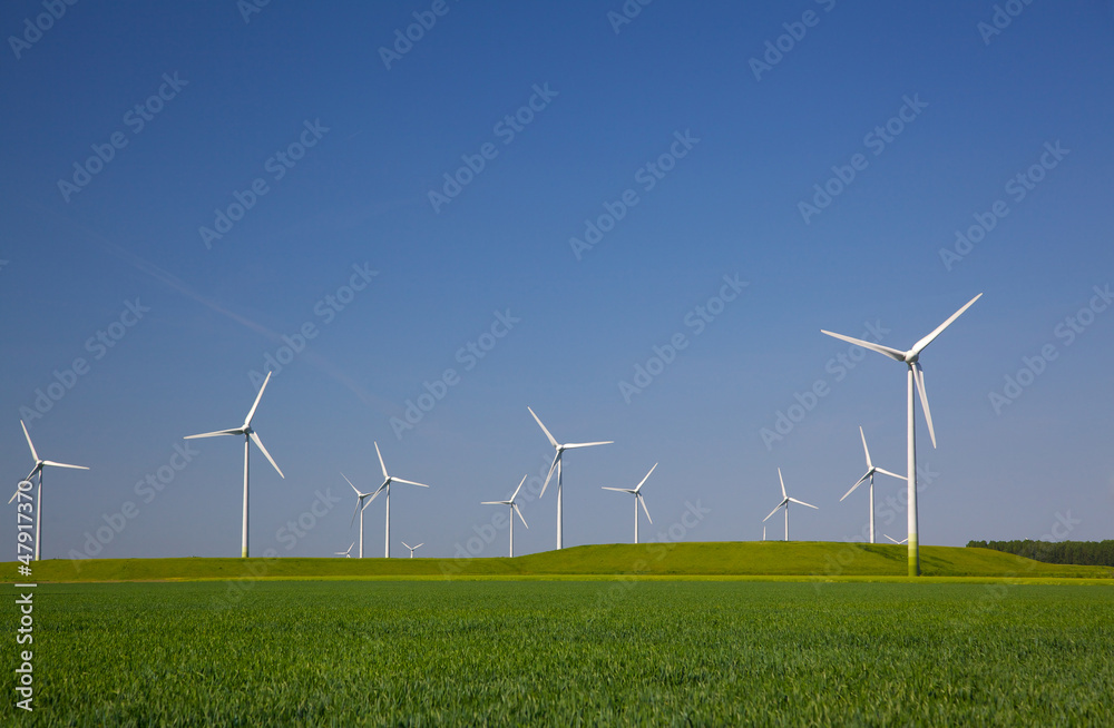 Wind Trurbines in blue sky and green grass Wind Trurbines in blue sky and green grass