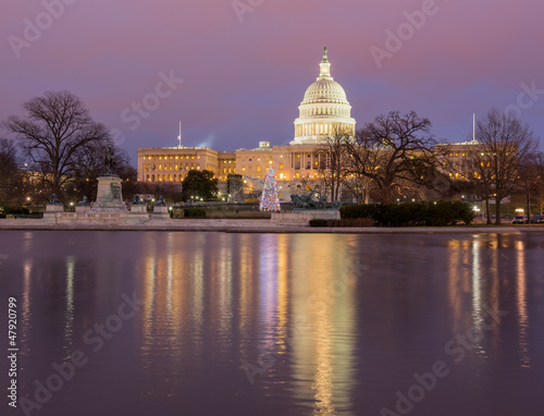 Quadro em tela Christmas tree in front of Capitol Washington DC