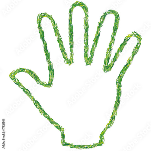 mano verde