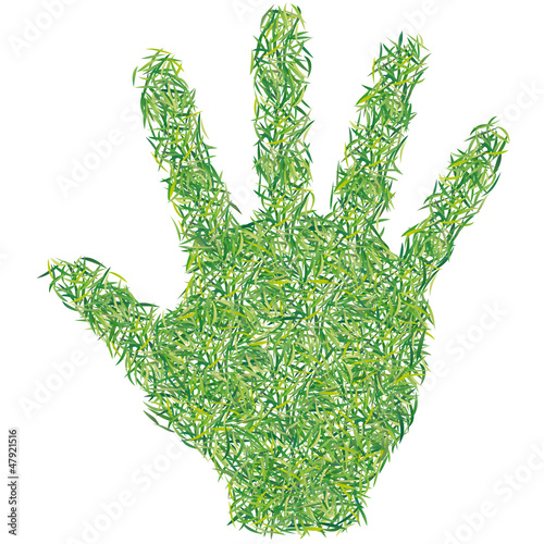 mano verde