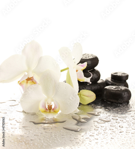 Fototapeta Naklejka Na Ścianę i Meble -  Spa stones and orchid flowers, isolated on white.