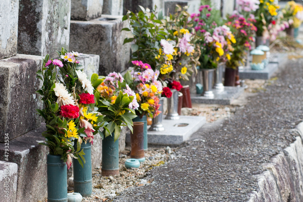 お墓に並ぶ仏花