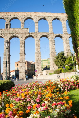 flowers in front of the aqueduct
