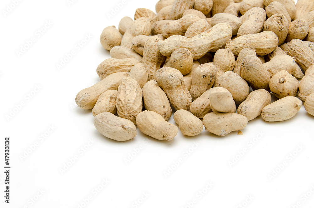 Roasted Peanuts Isolated on White Background Roasted Peanuts Isolated on White Background