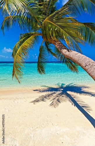 Fototapeta Naklejka Na Ścianę i Meble -  Tropical beach