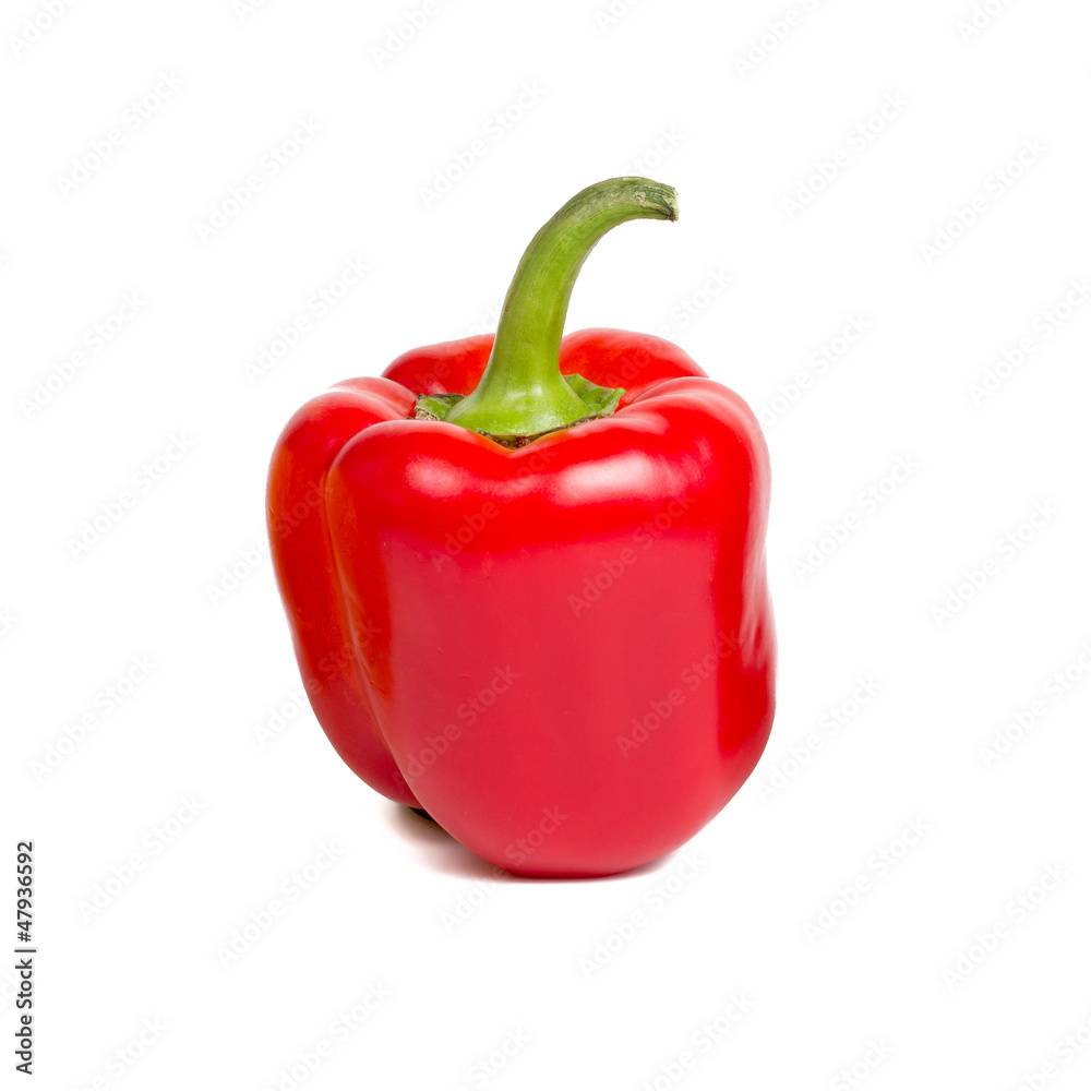 rote Paprika rote Paprika