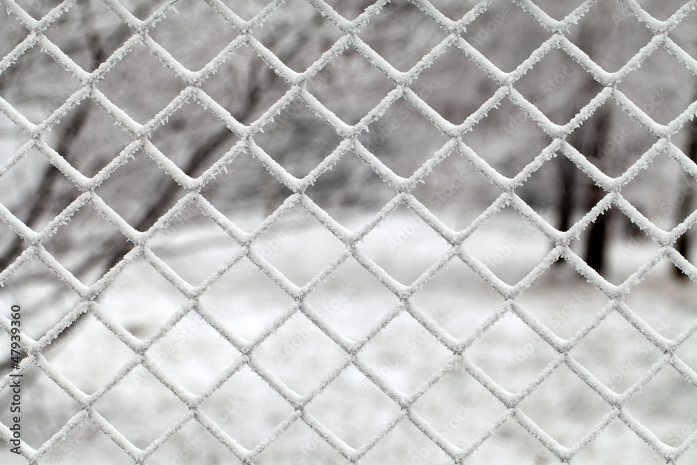 Fototapeta premium Winter landscape