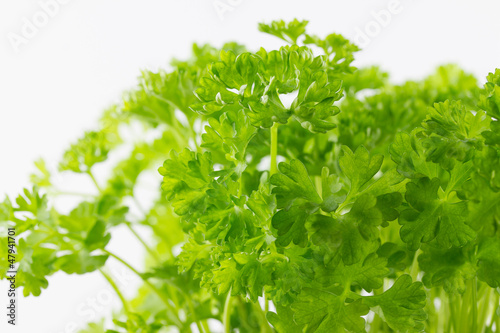 Fresh parsley