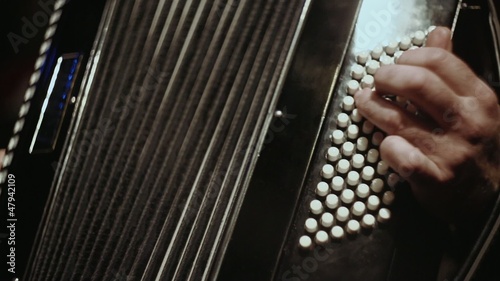 accordion, accordionist