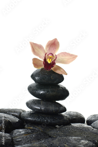 Spa concept- stack of stones and orchid