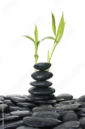 stones stack in balance and fresh bamboo leaves