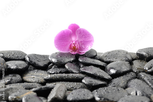 Zen abstract of black towel stones with pink orchid