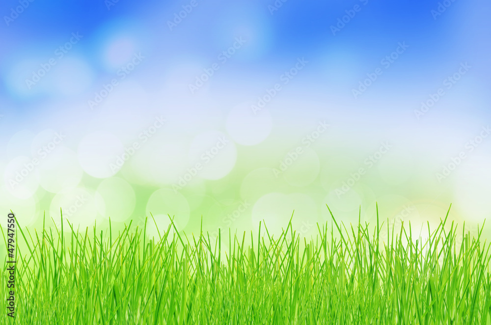 natural green background with selective focus