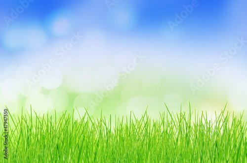 natural green background with selective focus