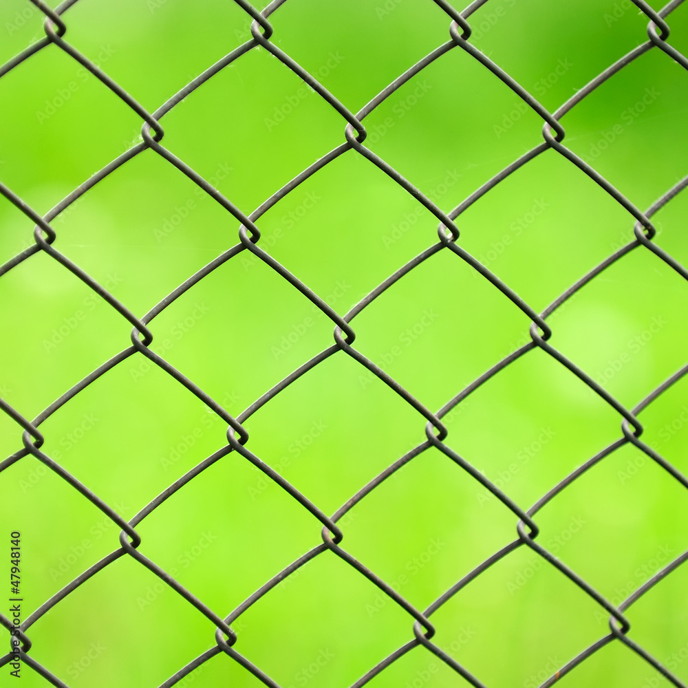 Wire Mesh Fence Close-Up on Green Background Wire Mesh Fence Close-Up on Green Background