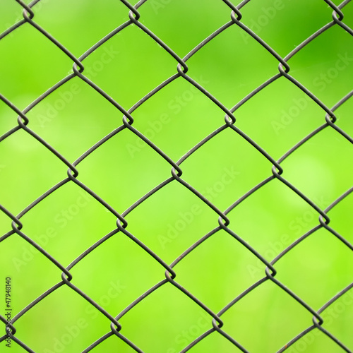 Wire Mesh Fence Close-Up on Green Background