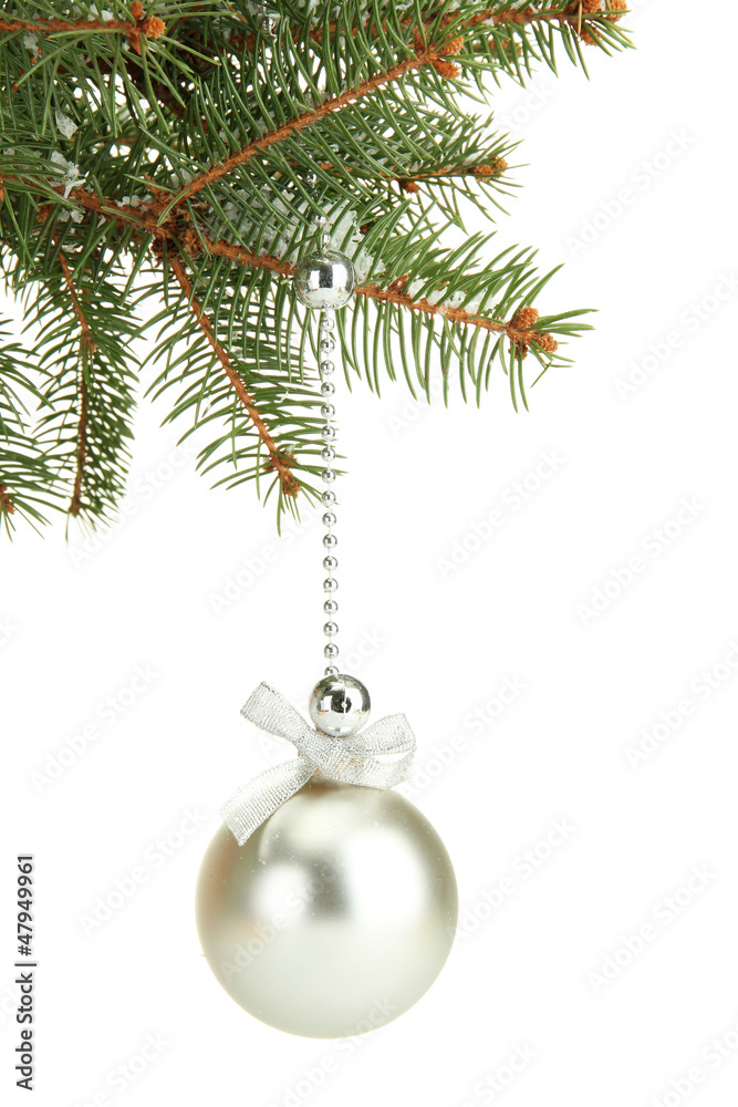 Christmas ball on fir tree, isolated on white