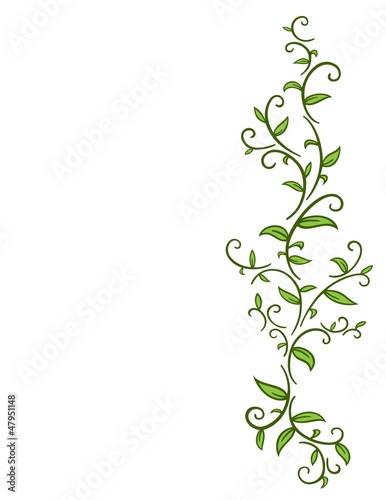 Tribal Vine with Leaves photo