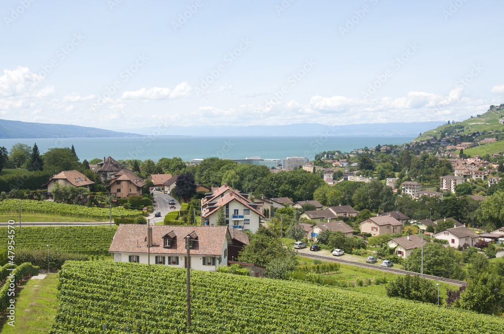 Houses amidst vineyards by Lake Geneva in Vevey, Switzerland