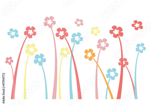 Colorful flowers