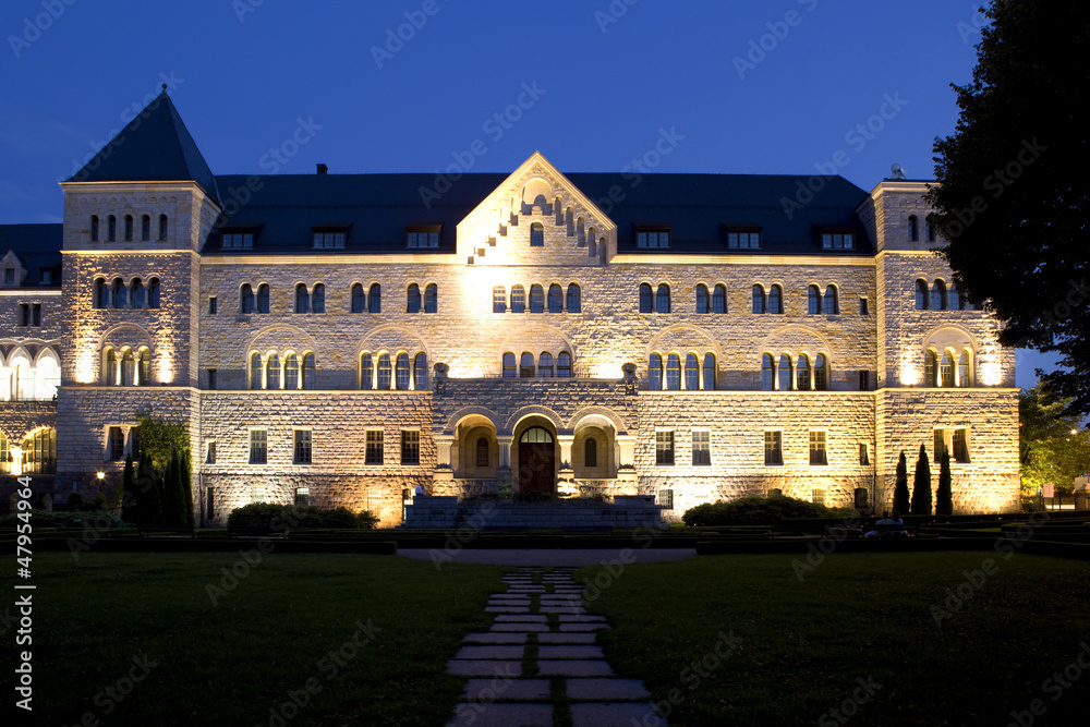 Fototapeta premium Castle in Poznan