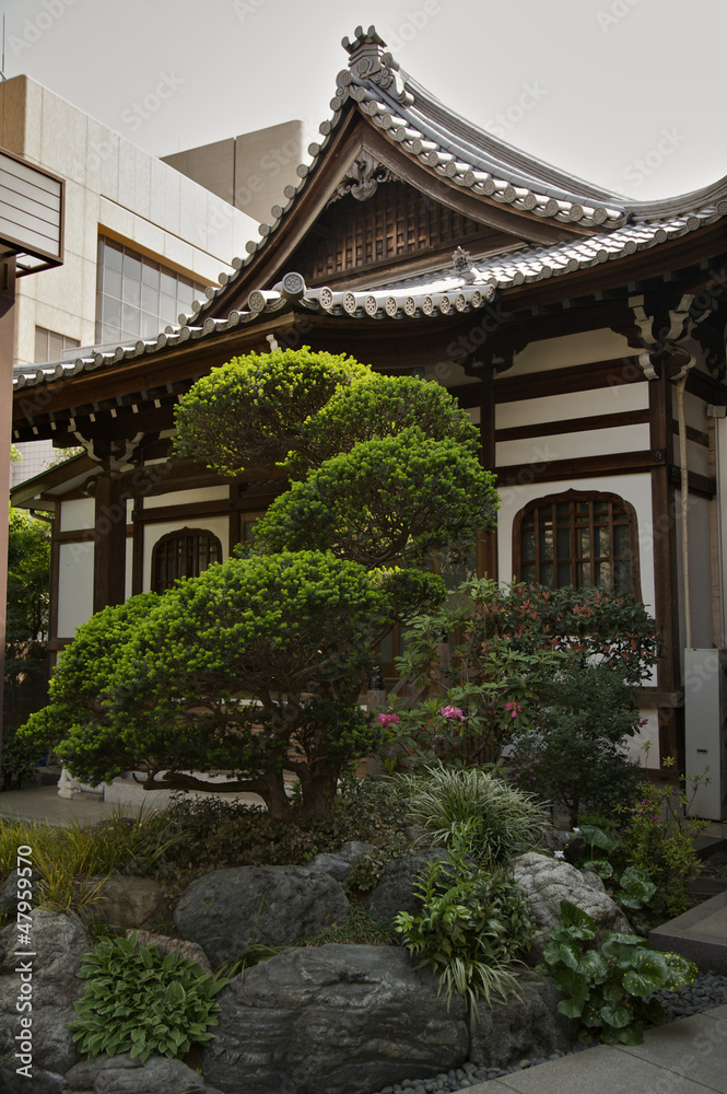 Japanese Temple Garden