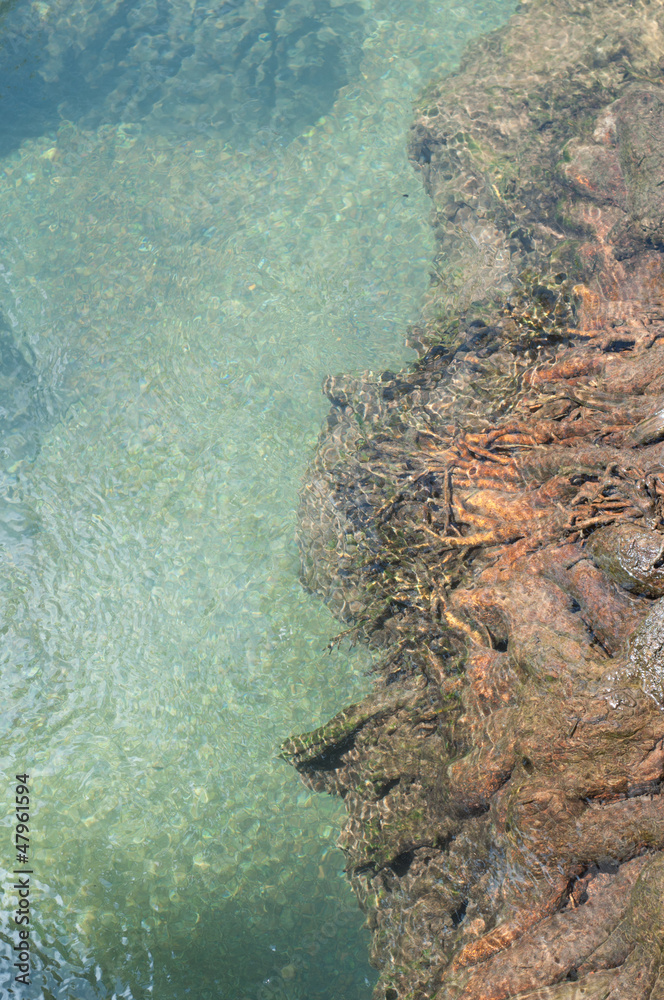 tree roots at Tapom two water canal in krabi, thailand tree roots at Tapom two water canal in krabi, thailand
