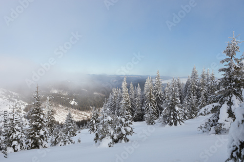 Winter Carpathian mountains © sergemi