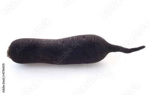 Black Spanish Radish