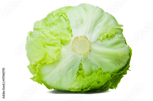 Green Iceberg Lettuce Alcapucci photo