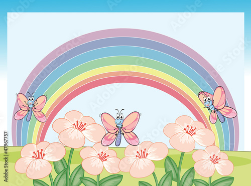Dragonflies and rainbow