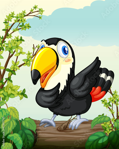 A bird