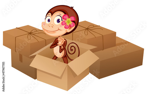 A monkey and boxes