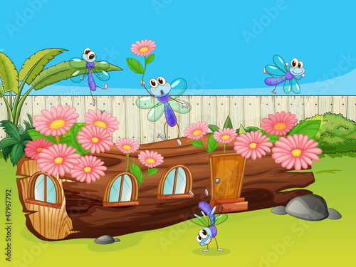 Dragonflies and wood house